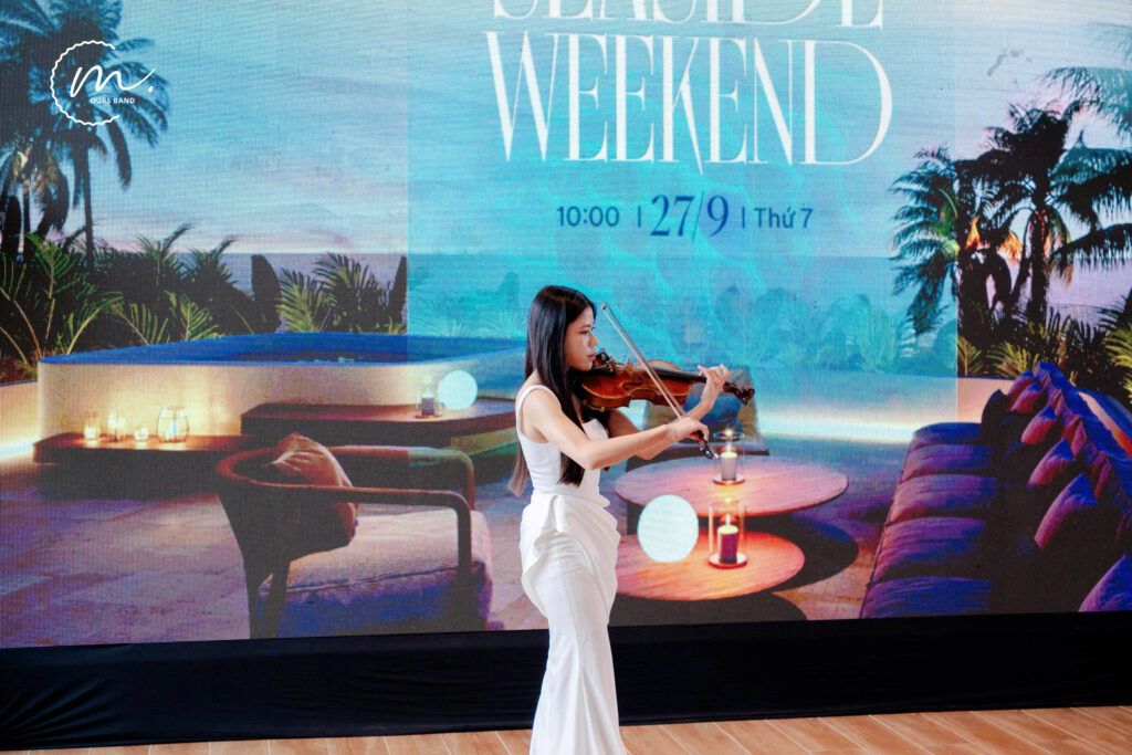 Dịch Vụ Thuê Violin Sự Kiện