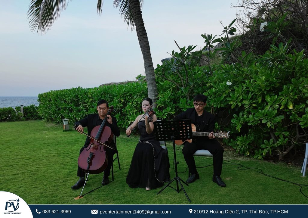 Tam Tấu Guitar Violin Cello